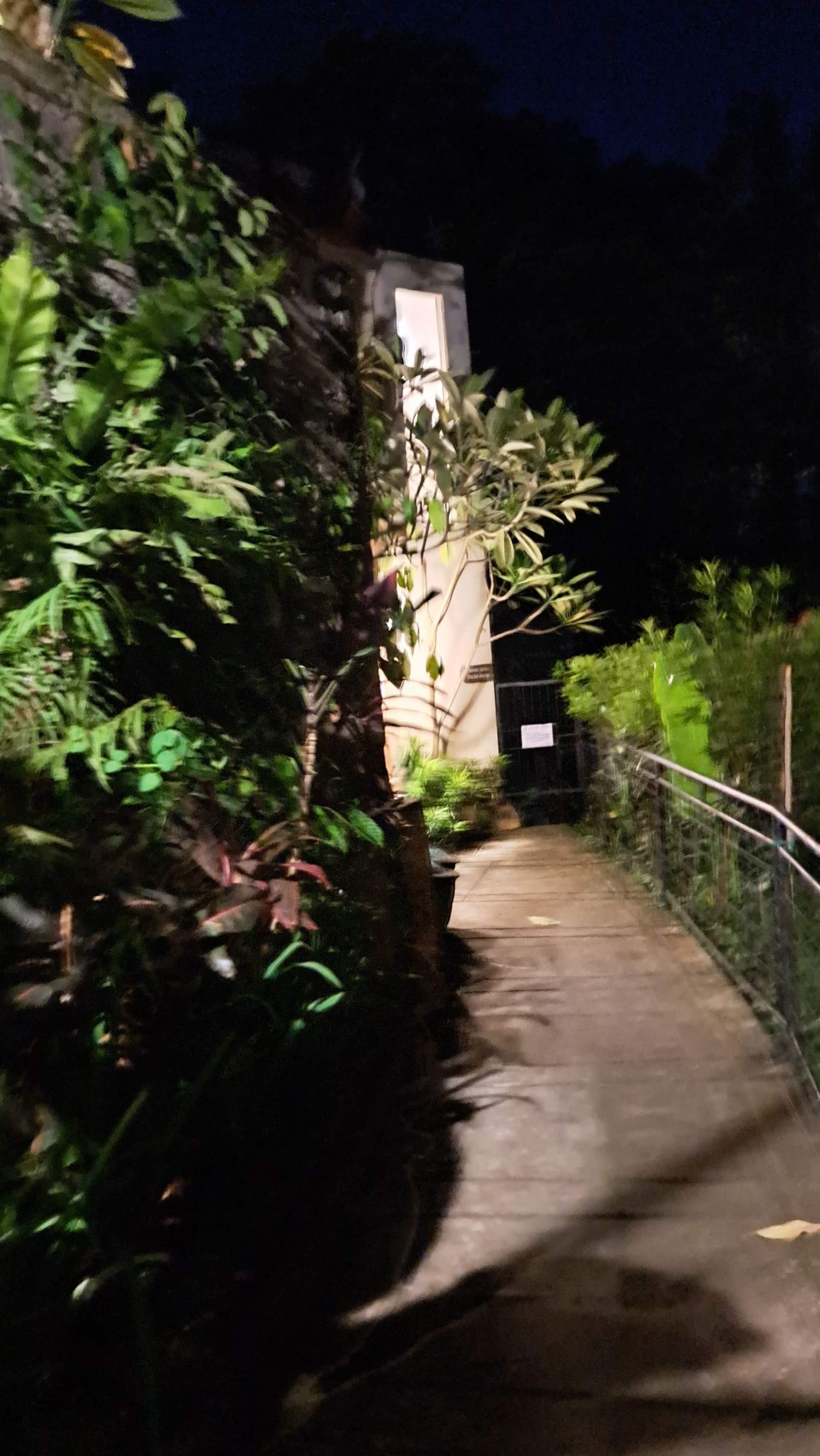 Oasis: Central Ubud - Casa Tepi Kali 2 — photo 3