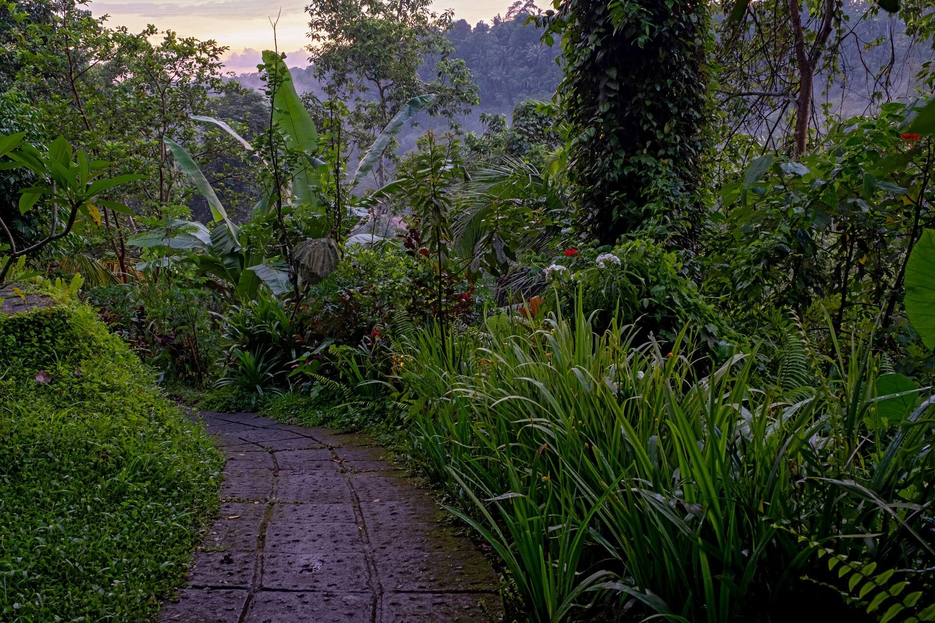 BeBaliStay, Spacious Eco Farm House — photo 5