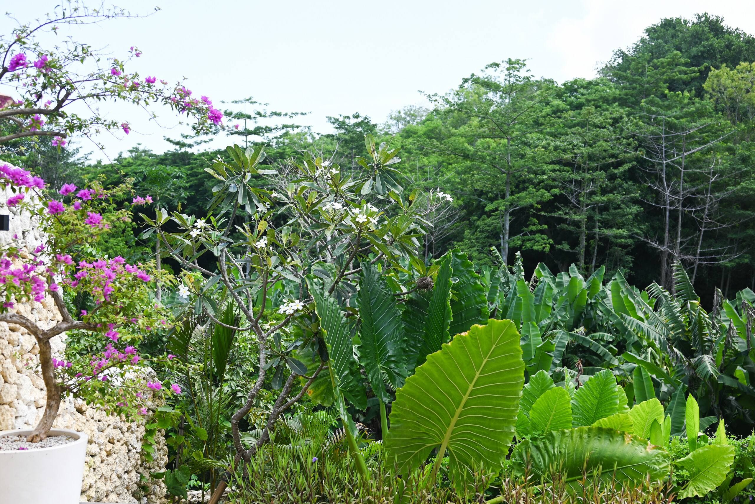 Villa Sama Sama|2BR Jungle View 23
