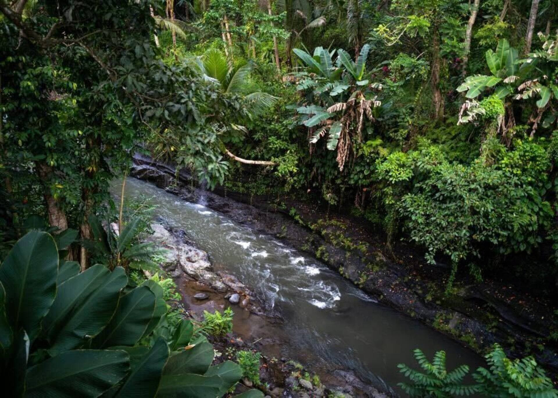 Ubud Zen River House — photo 4