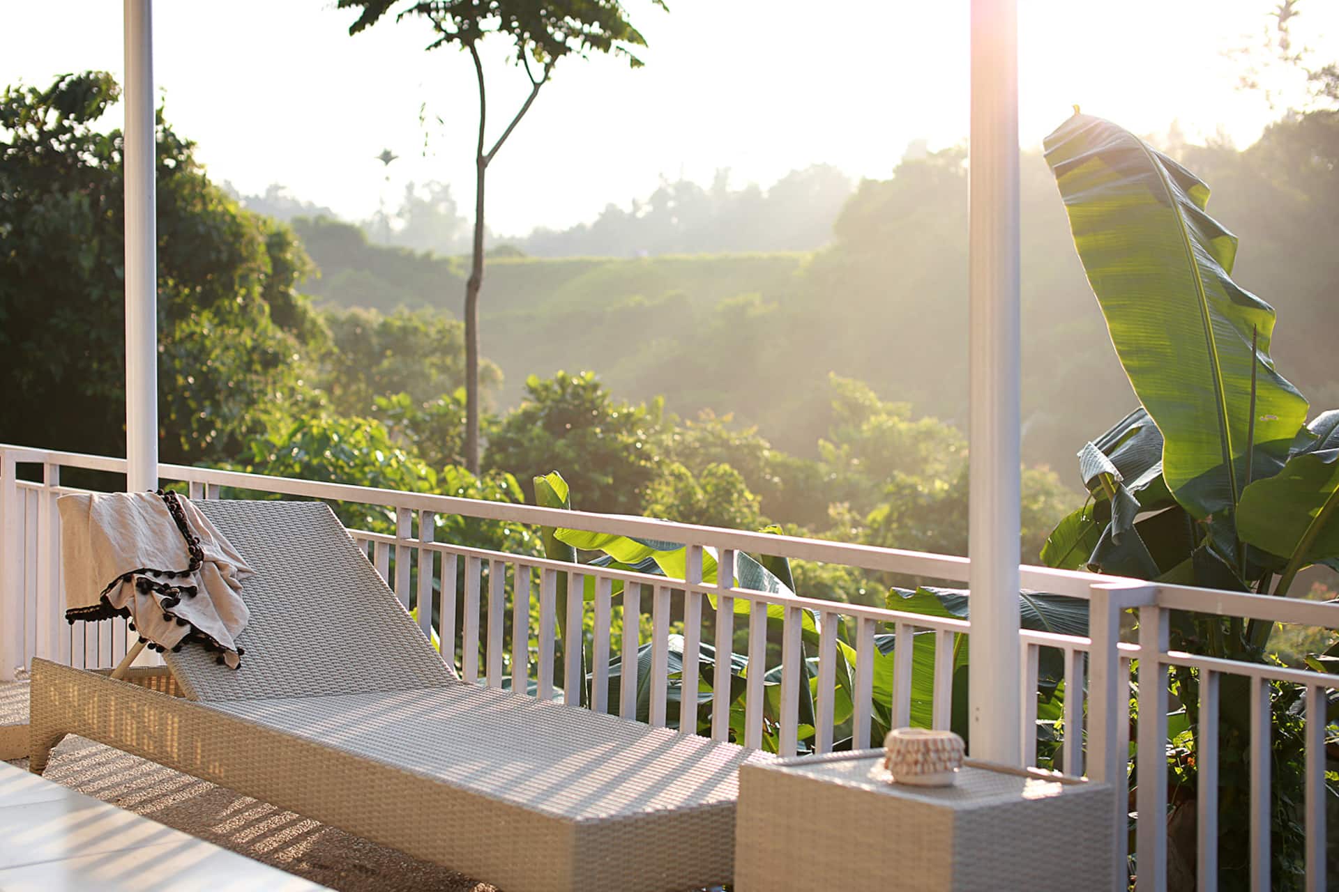 Shimha Jungle Retreat — photo 4