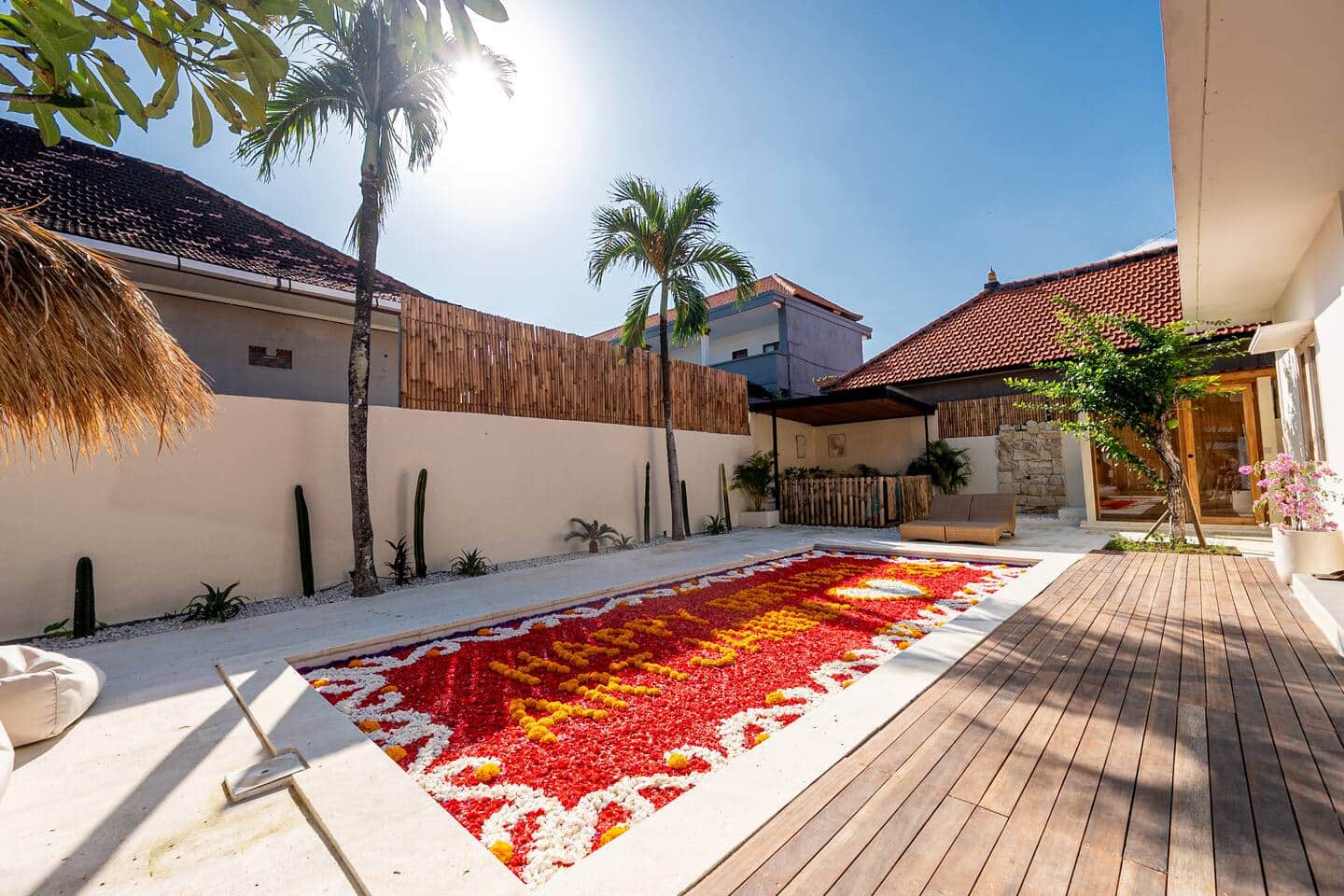 New Life Wellness 36